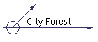 City Forest