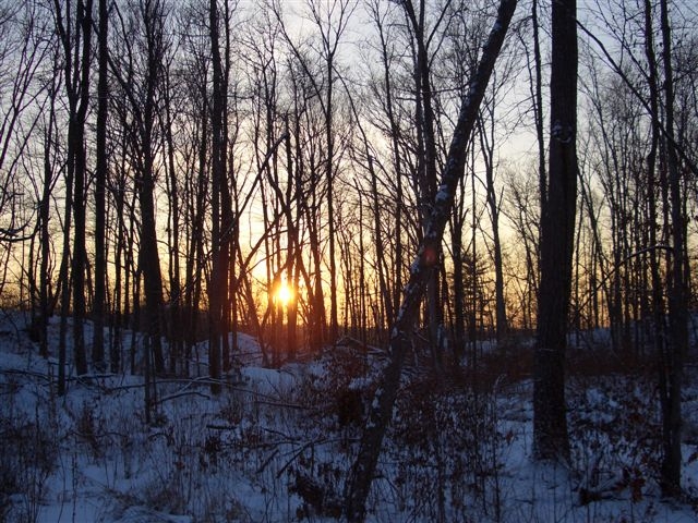 Sunrise over Coffin's Island - Photo by John Norris